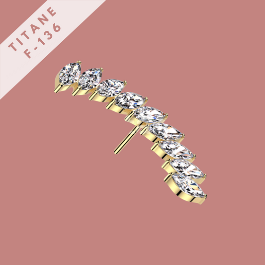 Piercing Feuilles XXL - titane