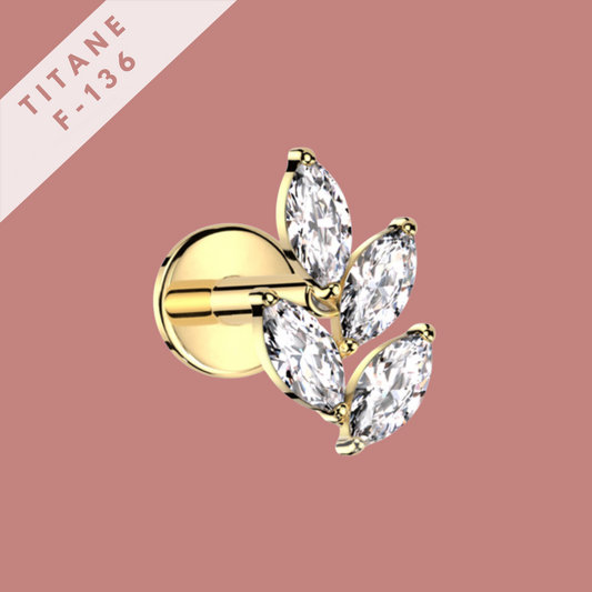 Piercing Sienna Transparent - titane