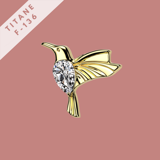 Piercing Colibri - titane