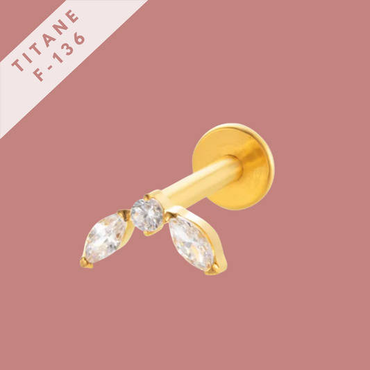 Piercing Fée - titane